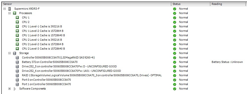 Checking the LSI MegaRAID controller in VMware vSphere